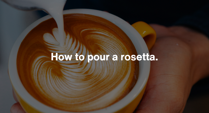 How to pour a rosetta.