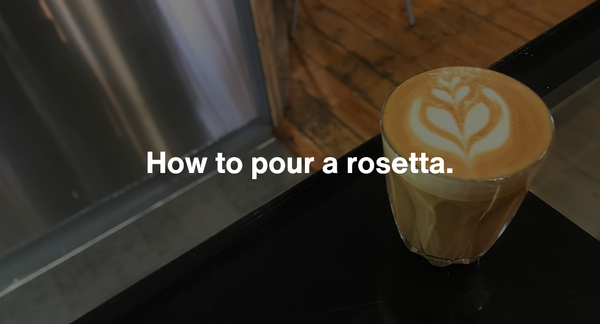 How to pour a tulip.